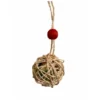 Parrot-Supplies Woven Vine Ball Filled With Loofah Foraging Parrot Toy